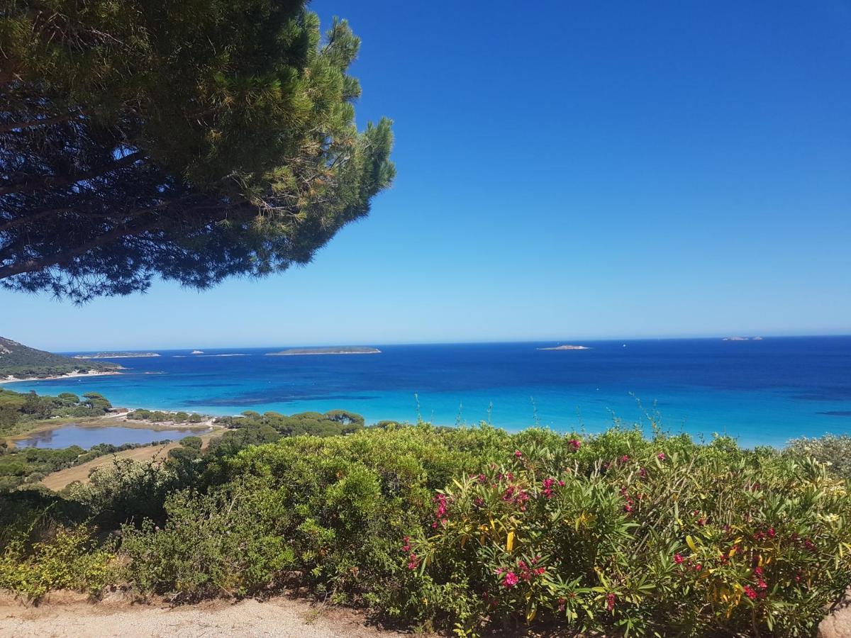 Maison Sur Palombaggia Πόρτο Βέκιο Εξωτερικό φωτογραφία
