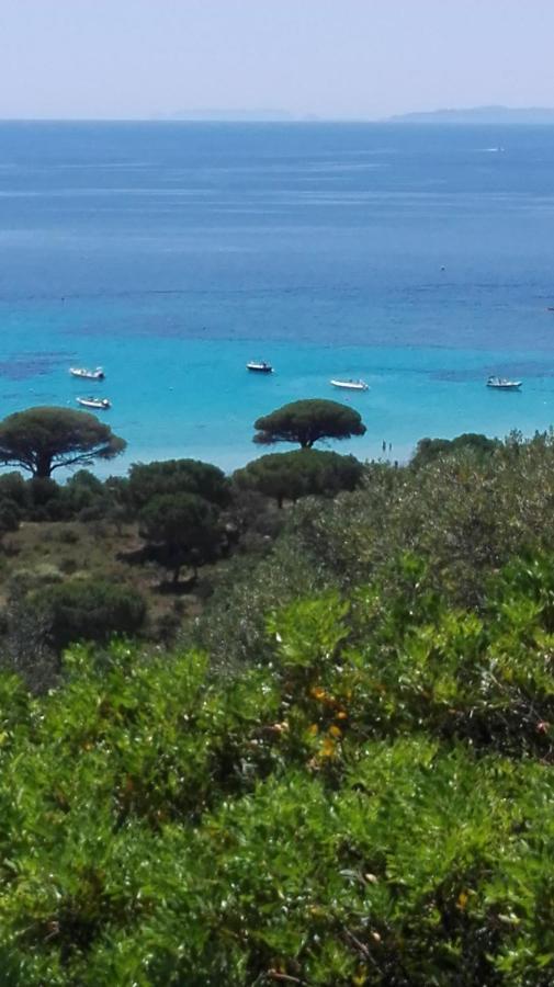 Maison Sur Palombaggia Πόρτο Βέκιο Εξωτερικό φωτογραφία